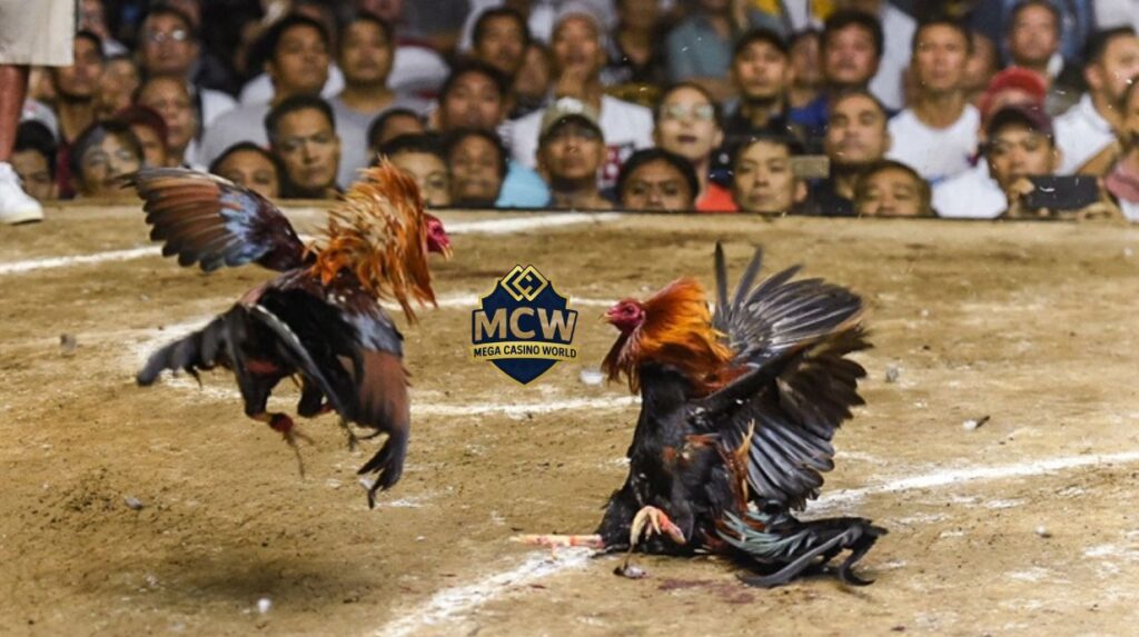 Hướng dẫn cách chơi đá gà MCW chi tiết