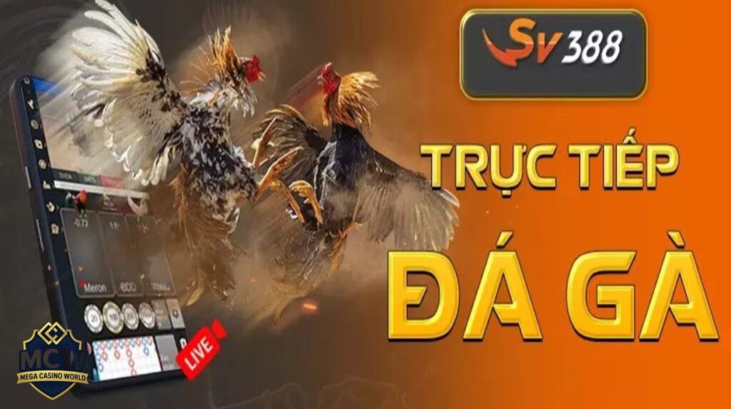 Đá Gà SV388