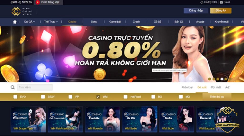 Tổng Quan Về Chương Trình Khuyến Mãi MCW